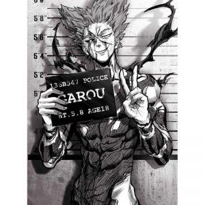 Poster Toile One Punch Man Garou 40x50cm Official Dr. Stone Merch